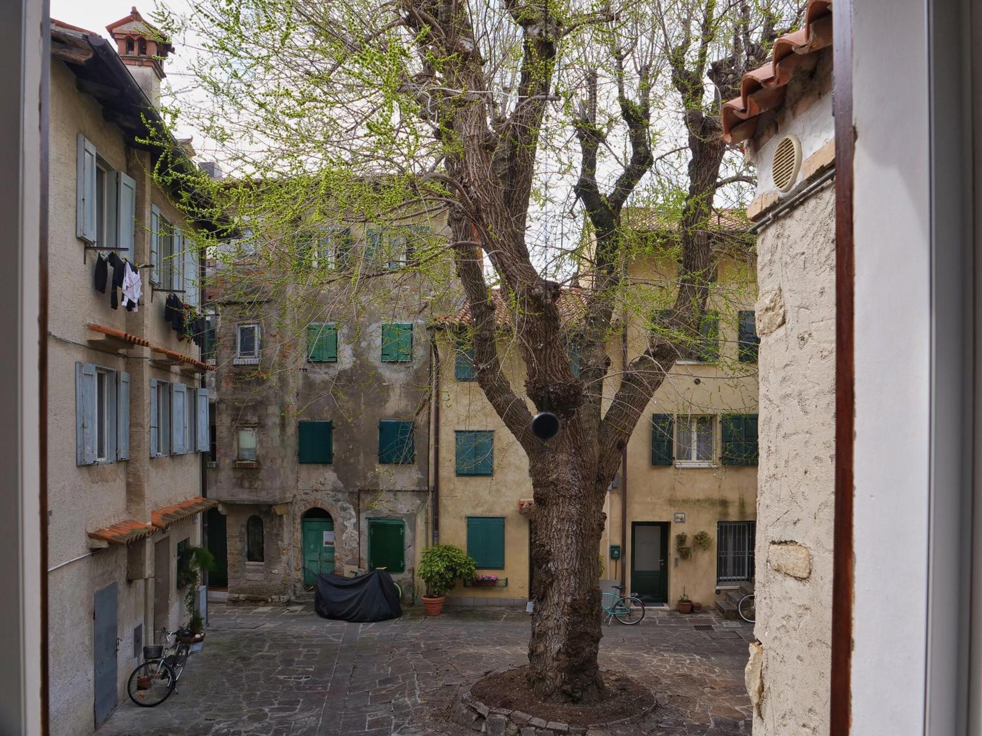 Casa Vianella - Romantico Monolocale Per Vivere Come Una Volta グラード エクステリア 写真